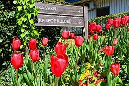 KULÜP SPONSORLUĞU